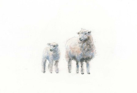Sheep and Lamb by Emily Adams art print