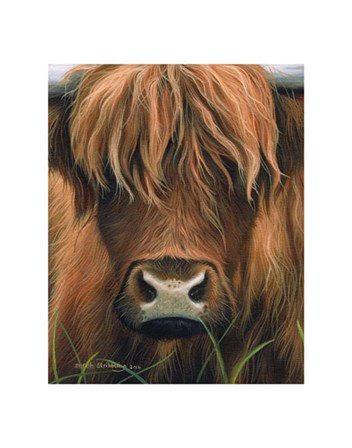 Cow Portrait by Sarah Stribbling art print
