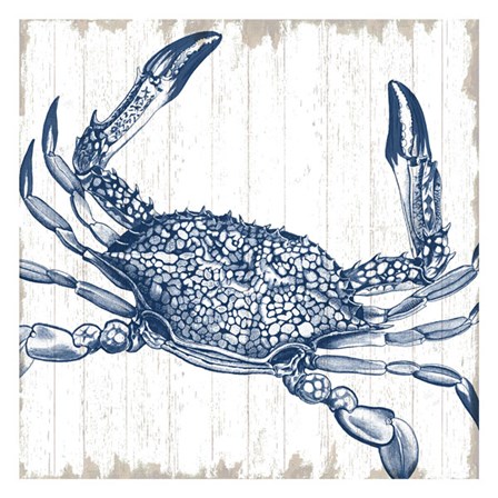 Seaside Crab by Sparx Studio art print