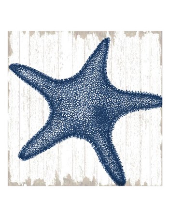 Seaside Starfish by Sparx Studio art print