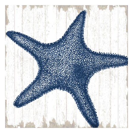 Seaside Starfish by Sparx Studio art print