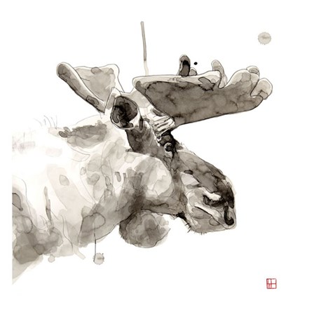 Moose by Philippe Debongnie art print