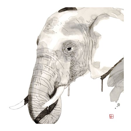 Elephant by Philippe Debongnie art print