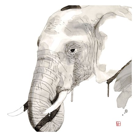 Elephant by Philippe Debongnie art print