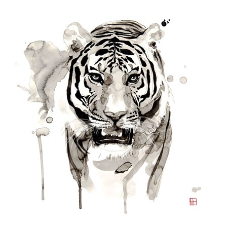 Tiger by Philippe Debongnie art print
