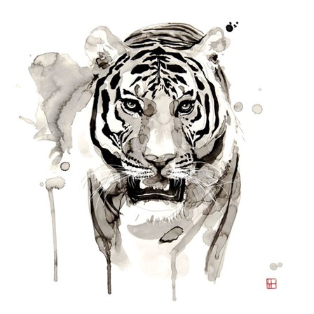 Tiger by Philippe Debongnie art print