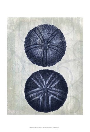 Indigo Blue Sea Urchins a by Fab Funky art print