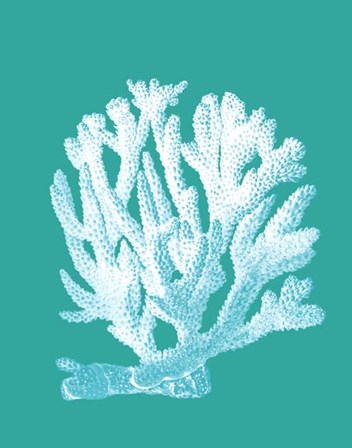 Coral 1 White On Turquoise by Fab Funky art print