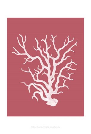 Corals White on Coral a by Fab Funky art print