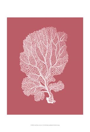 Corals White on Coral c by Fab Funky art print