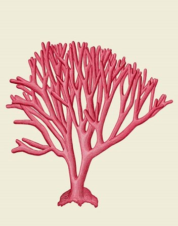 Red Corals 1 c by Fab Funky art print