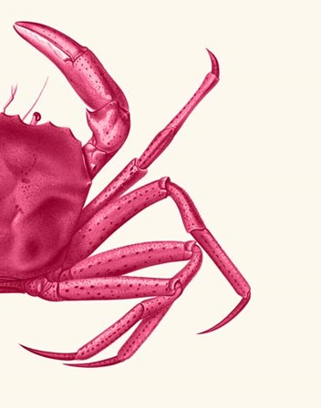 Contrasting Crab in Pink b by Fab Funky art print