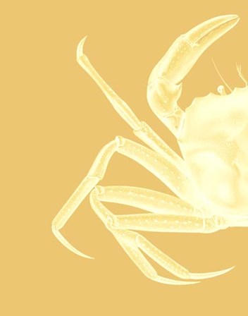 Contrasting Crab in Mustard a by Fab Funky art print