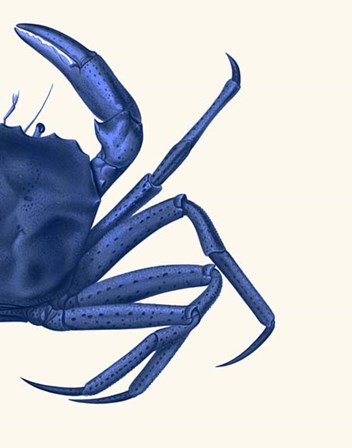 Contrasting Crab in Navy Blue b by Fab Funky art print