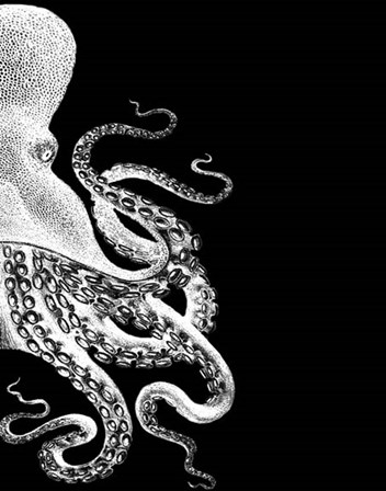 Octopus Black and White b by Fab Funky art print