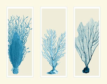 Blue Corals on 3 Panels by Fab Funky art print