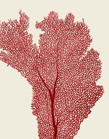 Red Corals 2 e by Fab Funky art print