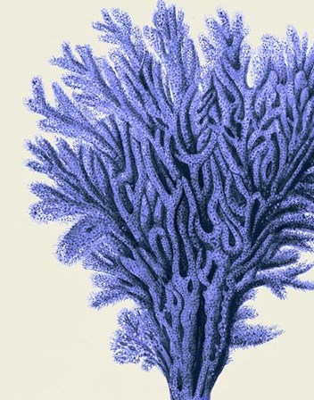 Blue Corals 2 a by Fab Funky art print