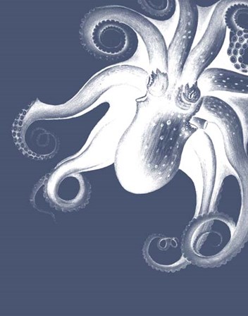 White Octopus on Indigo Blue f by Fab Funky art print