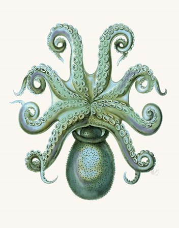 Turquoise Octopus and Squid c by Fab Funky art print