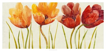 Row of Tulips I by Timothy O&#39;Toole art print