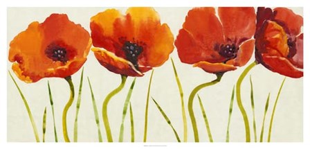 Row of Tulips II by Timothy O&#39;Toole art print