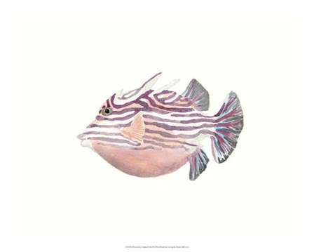 Watercolor Tropical Fish II by Naomi McCavitt art print