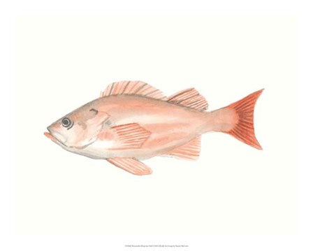 Watercolor Deep Sea Fish I by Naomi McCavitt art print