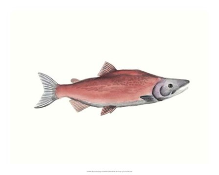 Watercolor Deep Sea Fish III by Naomi McCavitt art print