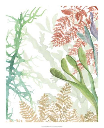 Woven Seaplants I by Naomi McCavitt art print