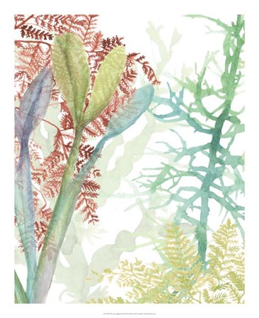 Woven Seaplants II by Naomi McCavitt art print
