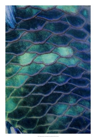 Ripples - Malaysia by Beverly Factor art print