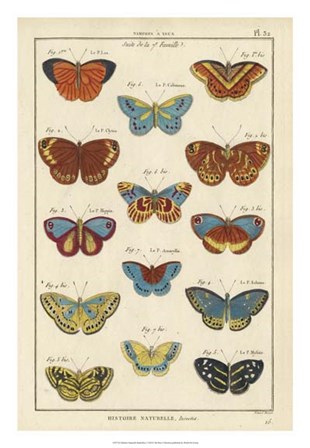 Histoire Naturelle Butterflies I art print