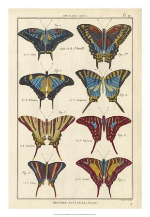 Histoire Naturelle Butterflies VI art print