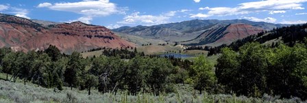 Trees on Red Hills, Bridger Teton National Forest, Wyoming by Panoramic Images art print