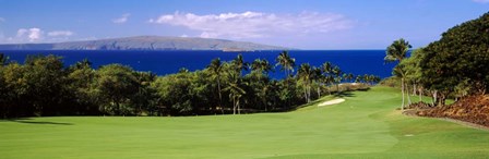 Wailea Golf Club, Maui, Hawaii by Panoramic Images art print