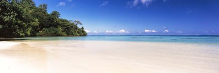 Beach, Tahiti, French Polynesia by Panoramic Images art print