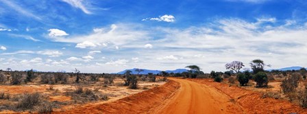 Dirt Road in Tsavo East National Park, Kenya by Panoramic Images art print