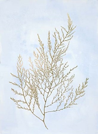 Gold Foil Algae II on Blue - Metallic Foil by Jennifer Goldberger art print