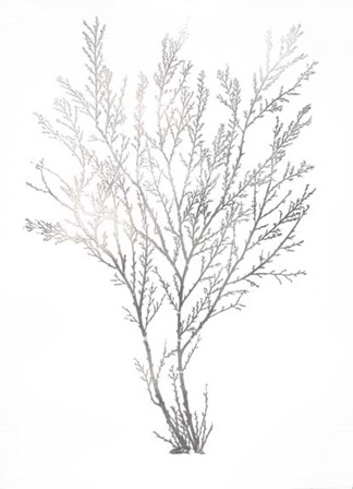 Silver Foil Algae I - Metallic Foil by Jennifer Goldberger art print