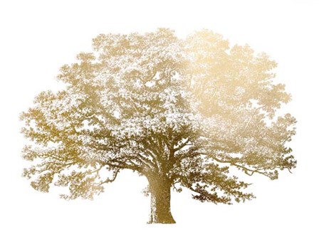 Gold Foil Elephant Tree - Metallic Foil by Vision Studio art print