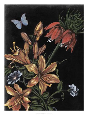 Dark Floral II by Naomi McCavitt art print