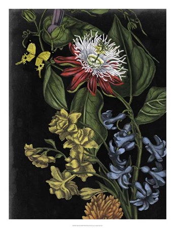 Dark Floral III by Naomi McCavitt art print