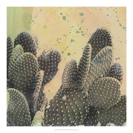 Desert Dreams II by Naomi McCavitt art print