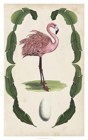 Antiquarian Menagerie - Flamingo I by Naomi McCavitt art print