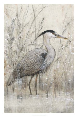 Hunt in Shallow Waters I by Timothy O&#39;Toole art print