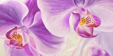 Purple Orchids by Cynthia Ann art print