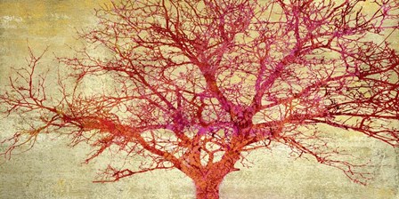 Coral Tree by Alessio Aprile art print