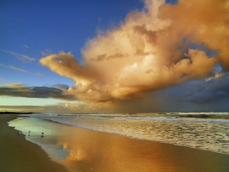 Sunset On The Ocean, New South Wales, Australia by Frank Krahmer art print