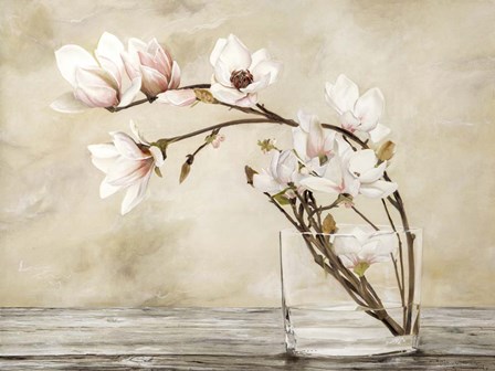 Fiori di Magnolia by Cristina Mavaracchio art print
